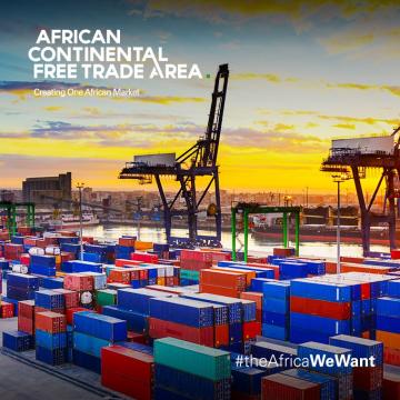 Digital trade provisions in the AfCFTA: What can we learn from South–South trade agreements?